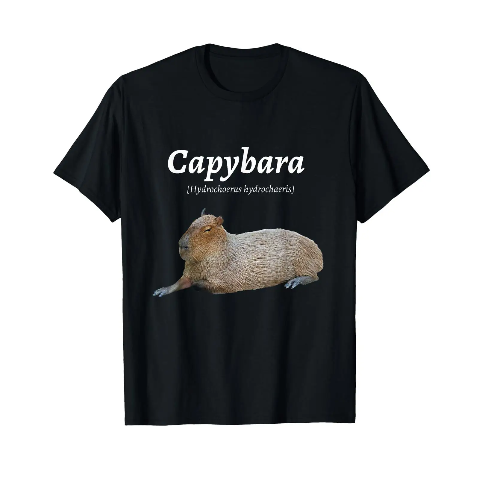 Vintage Fashion Definition - 面白い可愛いカピバラ カピーバラ 水豚 定義 Tシャツ ブラック